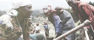 ActionAid - Green website